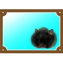 Dafiko Tabulka křeček