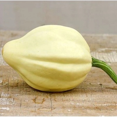 Tykev okrasná Cream of the Crop Cucurbita maxima semena 5 ks
