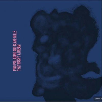 Pino Palladino & Blake Mills: That Wasn't A Dream CD