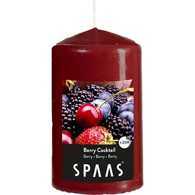 Spaas Ароматна свещ цилиндър Spaas 6/10 см, горски плодове (1081004)