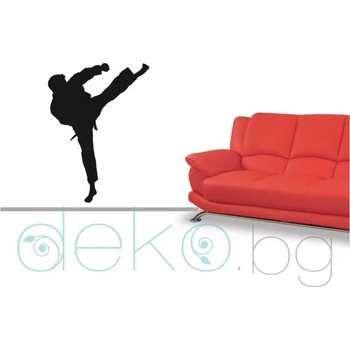 Image 1 of Каратист (1201)