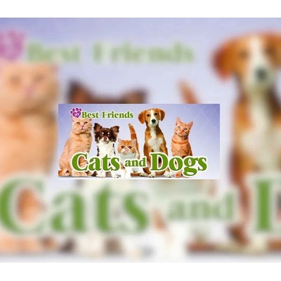 My Best Friends: Cats and Dogs