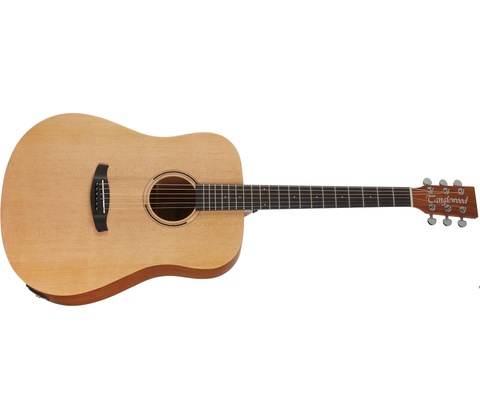 Tanglewood TR5 E