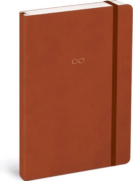 MFP Bullet journal