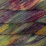 malabrigo Chunky Arco Iris Плетива прежда (CH866)