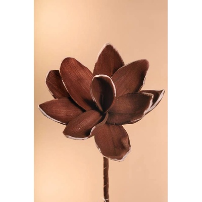 Paramit Aranžovací květina hnědá 18 cm