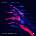 Warner Various: Global Underground: Select 7 - 2CD (049445)