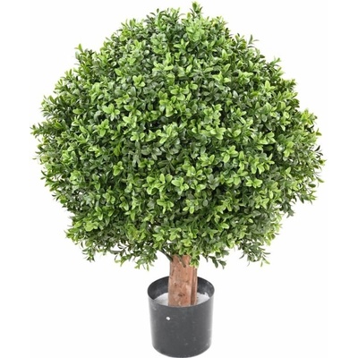 BUXUS KOULE REGULAR NEW UV, 65cm