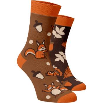 Veselé barevné bavlněné ponožky veverky
