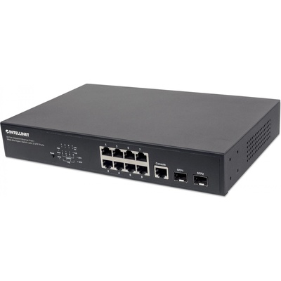 Intellinet 561167