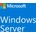 Microsoft Windows Server CAL 2022 ENG (R18-06466)
