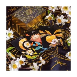 Botanica: The Tarot Deck about the Language of Flowers (ISBN: 9781948886444)