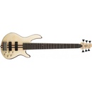 Cort A6