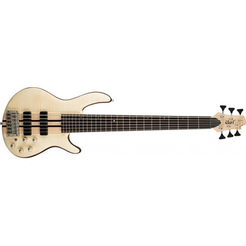 Cort A6