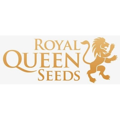 Royal Queen Seeds Special Queen 1 0 % THC 5 ks