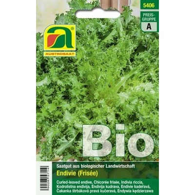 AUSTROSAAT Bio endívia Wallone (Frisée) - 1 bal.