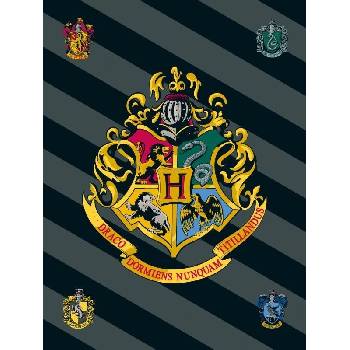 JERRY FABRICS Fleece deka Harry Potter HP067