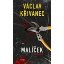 Malíček