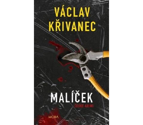 Malíček