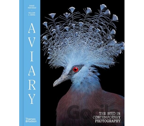 Aviary - William A. Ewing