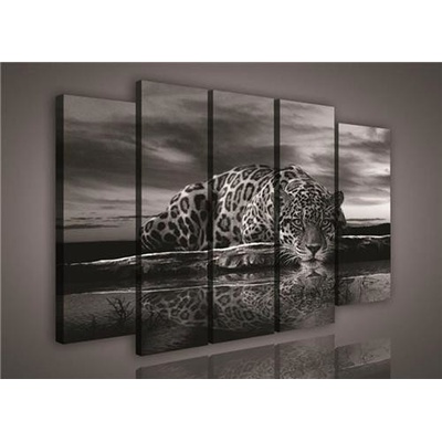 Obraz na plátně Jaguár 171S12, rozměr 150 x 100 cm, IMPOL TRADE