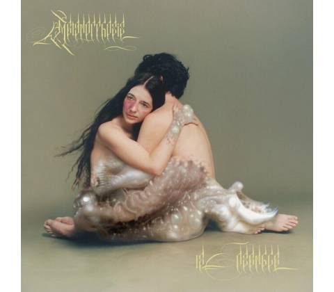 12 Ensemble - Metamorphosis (2 LP)