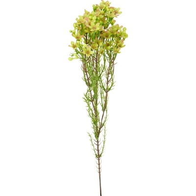 WAXFLOWER 80x15x12CM ŽTÝ