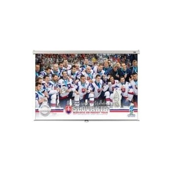 Elite Screens manual 127 x 202cm M94NWX