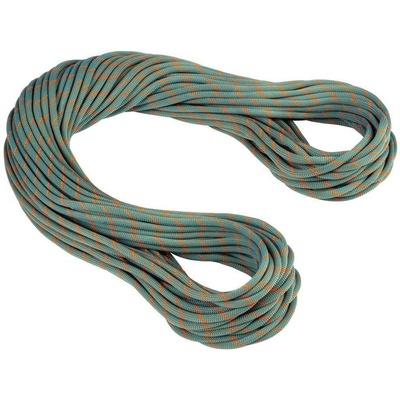Mammut 9.9 Crag Workhorse Dry Rope 60 m