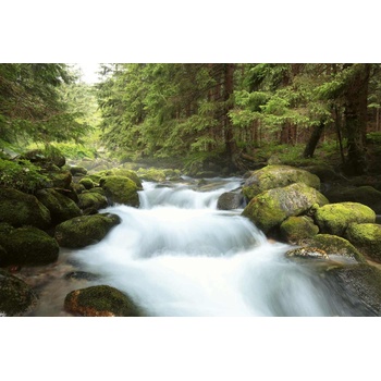 DIMEX ART s. r. o Флизелинов фототапет национален парк татра 375 x 250 см