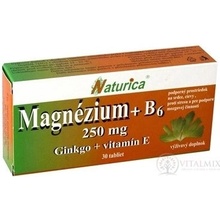 Naturica Magnezium + B6 + Ginkgo + vit.E 30 tablet