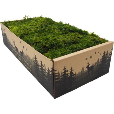 Plochý mach svetlý 0,2kg SWE