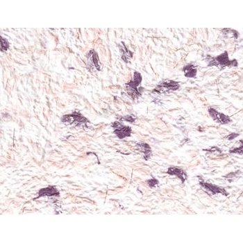 SILKCOAT ТЕЧЕН ТАПЕТ prestige silkcoat 0.750кг 209 (7209)