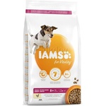 Iams Dog Senior Small Medium Chicken 12 kg