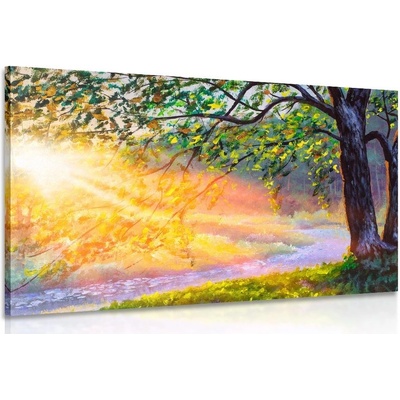 Obraz východ slnka v lese - 30x20