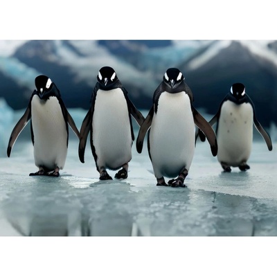 3D pohlednice Four Penguins AI