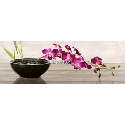 Orchidej 1 deska 90x30