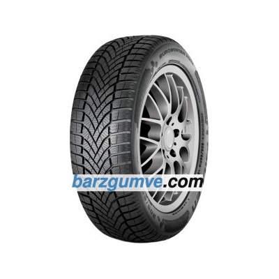 Falken EUROWINTER HS02 ( 155/60 R15 74T, VCe)