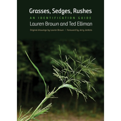 Grasses, Sedges, Rushes | Lauren Brown, Ted Elliman