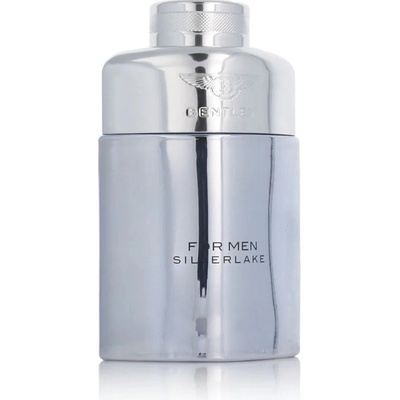 Bentley Bentley Silverlake parfumovaná voda pánska 100 ml