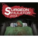 Surgeon Simulator 2013