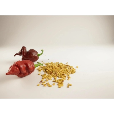 Trinidad Scorpion Chocolate semínka 10 ks
