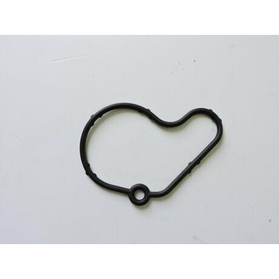 Těsnění vakuové pumpy OCTAVIA 1,9 TDI 66 + 81 kw, EU, 038145345 – Zbozi.Blesk.cz