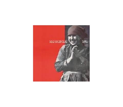 YELLOW MAGIC ORCHESTRA: TECHNODELIC LP