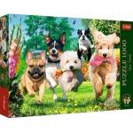 Trefl Puzzle 1000 Troubles coming TREFL