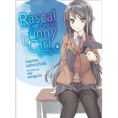 Rascal Does Not Dream of Bunny Girl-senpai, Vol. 1 light novel