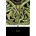 Beowulf