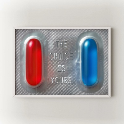 The Choice is Yours Velikost: 50x70 cm, Rám: Bílý – Hledejceny.cz