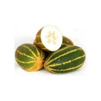 ? Краставица - CURRY CUCUMBER - Burpees Prolific F1 (124075)