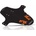 Riesel Design FOX